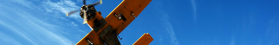  Rotating Header Image